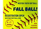 FALL BALL!